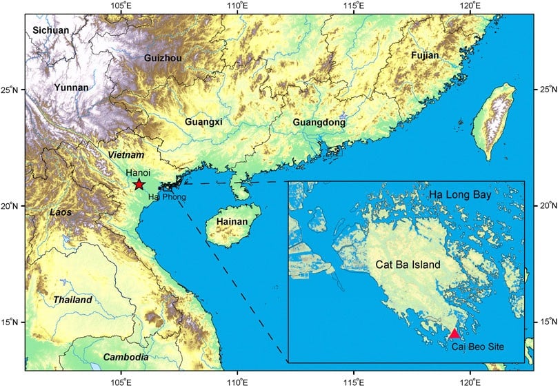 Văn hóa Cái Bèo