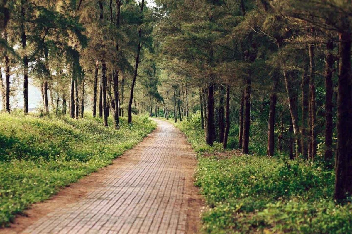 Con đường Tình Yêu