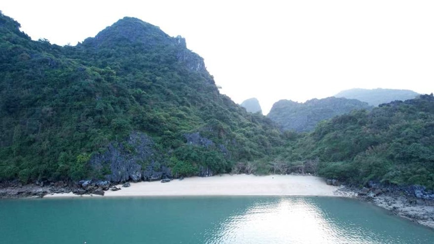 Đảo Cái Lim