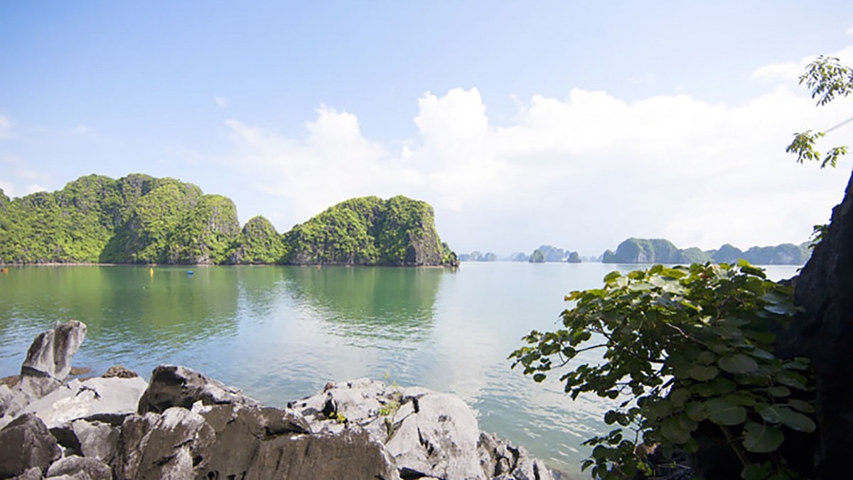 Hồ động tiên