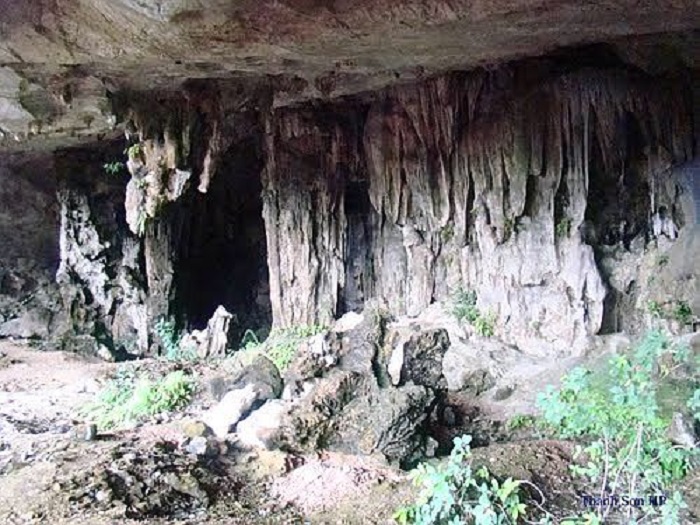 Phần cửa hang nơi tập trung phân bố trầm tích nhuyễn thể không kết khối.