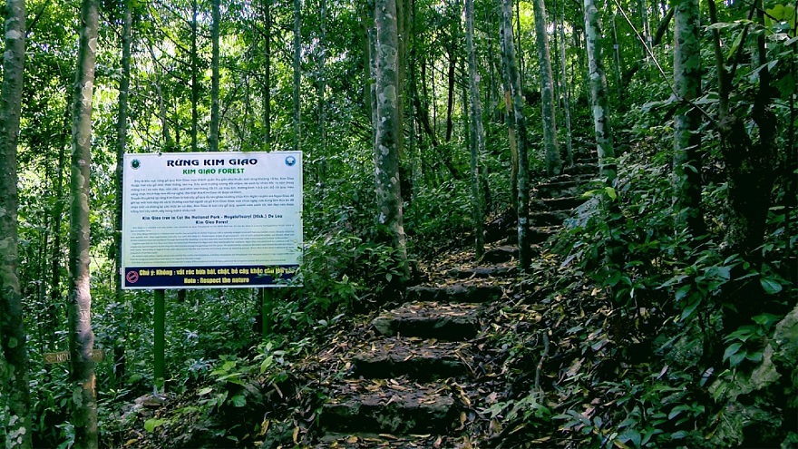 Rừng Kim Giao Cát Bà