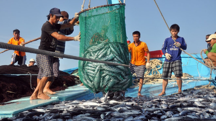Trải nghiệm cùng ngư dân bắt cá tại VIệt Hải