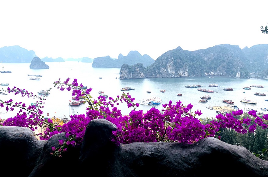 Từ động Thiên Đăng ngồi uống cà phê, ta có thể ngắm một vùng vịnh Bái Tử Long từ trên cao