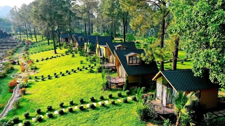 Phoenix Mộc Châu Resort