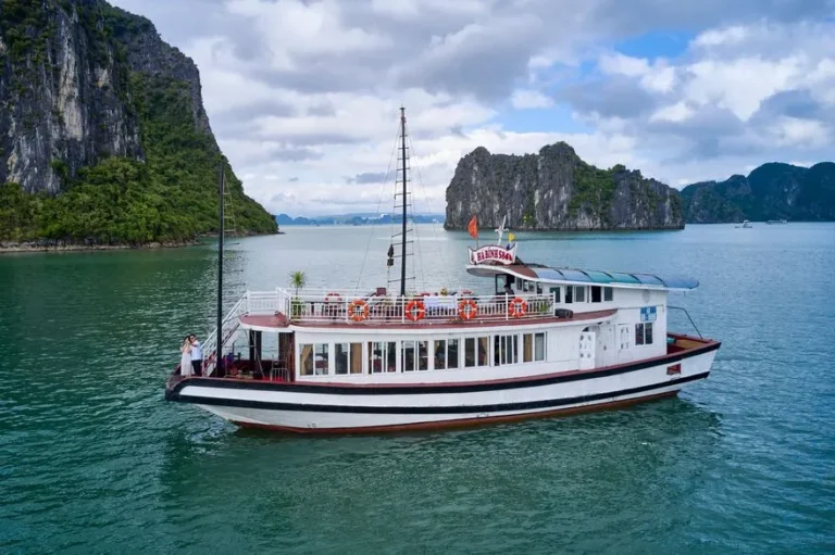 Tàu tiêu chuẩn thăm Vịnh Hạ Long