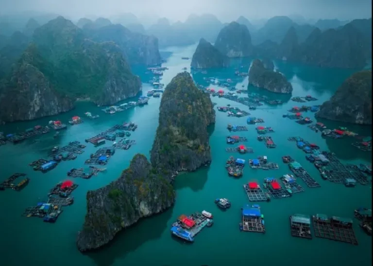 Làng Chài Cái Bèo: Khám Phá Làng Chài Cổ 7000 Năm Tuổi