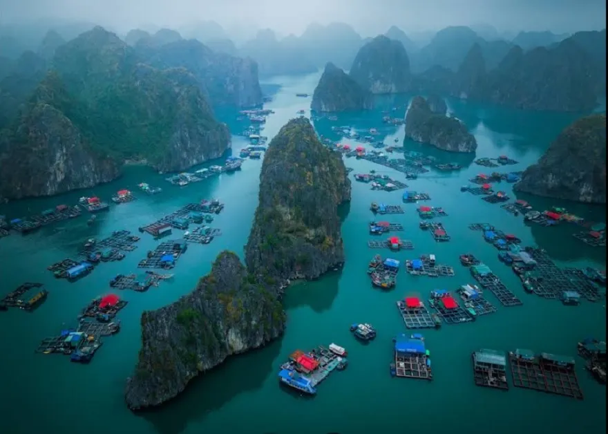 Làng Chài Cái Bèo: Khám Phá Làng Chài Cổ 7000 Năm Tuổi