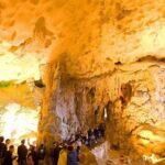 Hang Đầu Gỗ: Động của các kỳ quan