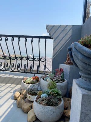 Vds Beverly Hill Tt06 08