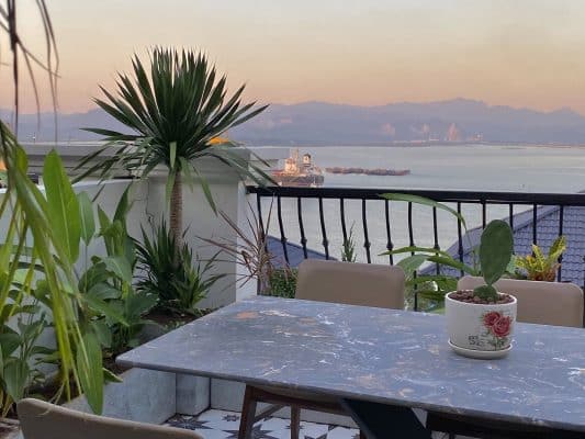 Vds Queen Beverly Hill 01