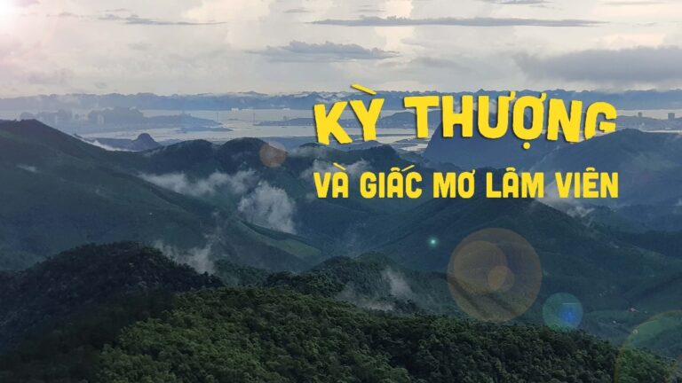 Kỳ thượng – Khu du lịch sinh thái đặc biệt tại Hoành Bồ