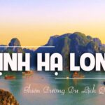 Du Lịch Vịnh Hạ Long 2025: Cẩm Nang Chi Tiết Khám Phá Kỳ Quan & Lựa Chọn Dịch Vụ