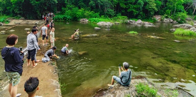 Khám phá Khu Bảo Tồn Thiên Nhiên Đồng Sơn
