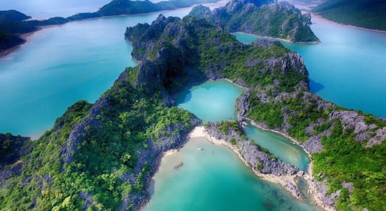 Vườn Quốc gia Bái Tử Long (Quảng Ninh): Cẩm nang du lịch A-Z