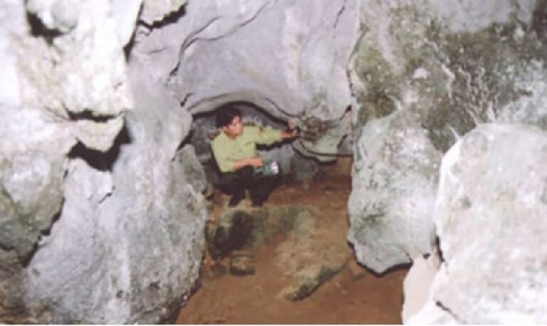 Văn Hóa Soi Nhụ – Khám Phá Di Sản Người Việt Cổ Tại Vịnh Hạ Long