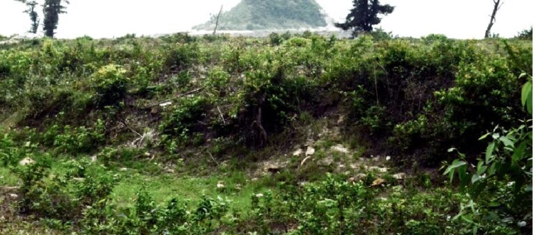 Thành cổ Ngọc Vừng