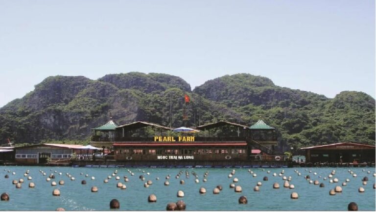 khu nuôi trồng ngọc trai Tùng Sâu trên Vịnh Hạ Long