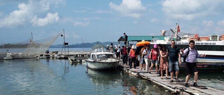 Đảo bánh sữa hòn đảo hoang sơ tại Vịnh Bái Tử Long chờ bạn khám phá