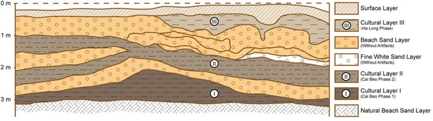 HÌNH 2. Mặt cắt rãnh tường phía nam H3, di chỉ Cái Bèo (khai quật năm 1973).