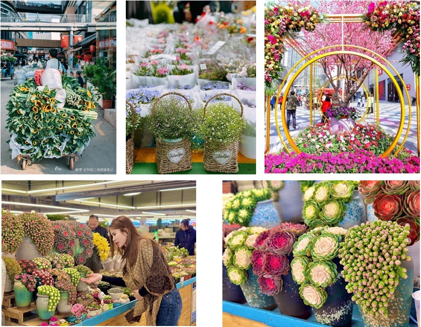 Chợ hoa Đấu Nam