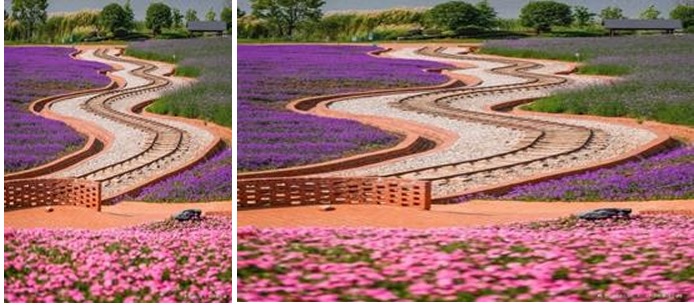 Công viên vườn hồ Thái Bình