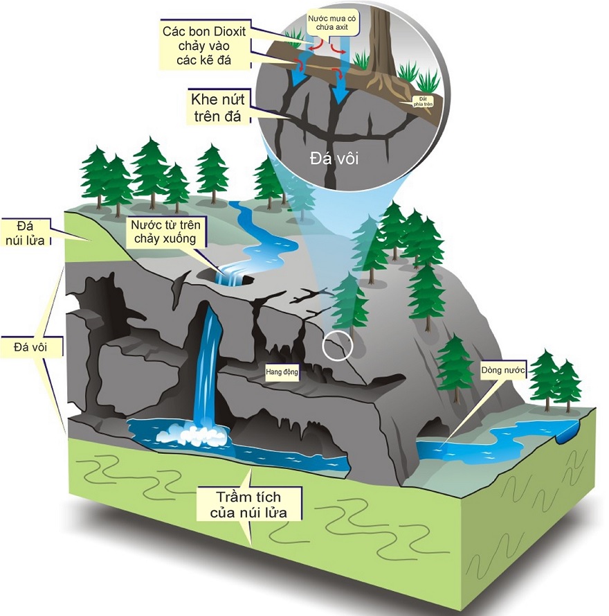 Quá trình hình thành hang động trên Vịnh Hạ Long