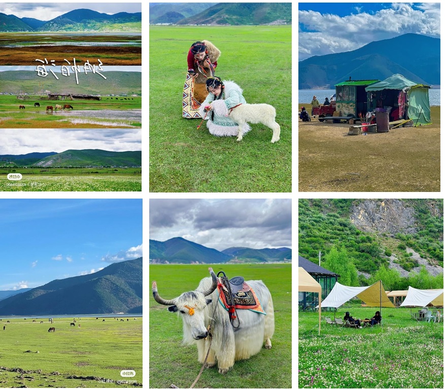 Thảo nguyên Na Pháp Hải – thảo nguyên xanh ở Shangri-La