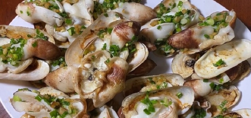 Tu Hài được xem như một loại loài đặc sản nổi tiếng tại Vân Đồn