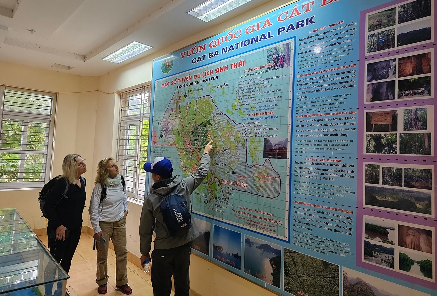 Hướng dẫn viên giới thiêu cho du khách tuyến đi của trong tour trekking VQG Cát Bà