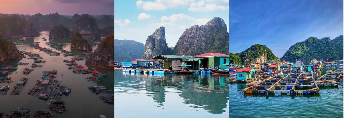 So sánh 3 làng chài nổi tiếng nhất miền Bắc là Làng Chài Cái Bèo, Làng Chài Vung Viêng vf làng Chài Cửa Vạn