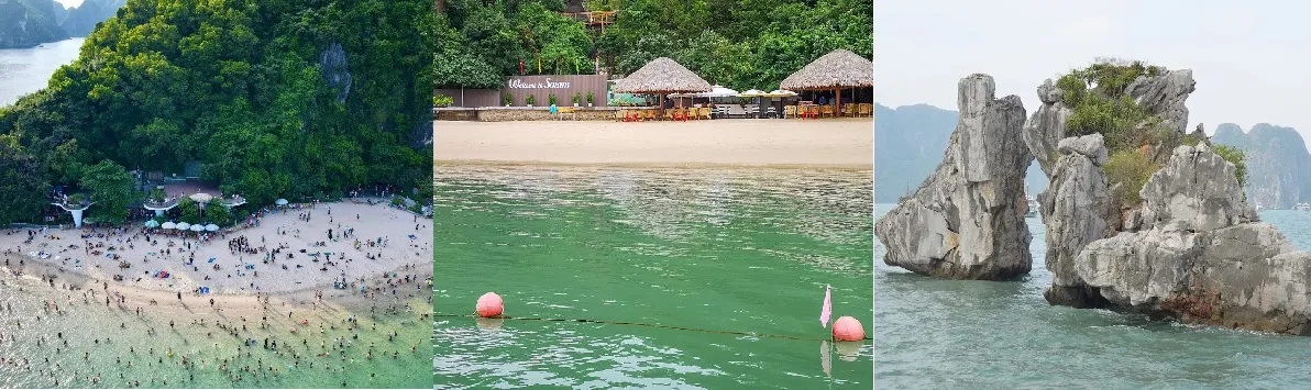 Đảo Tiov, Đảo Soi SIm hay Hòn Gà Chọi là một trong những hòn đảo nổi bật nhất của Vịnh Hạ Long