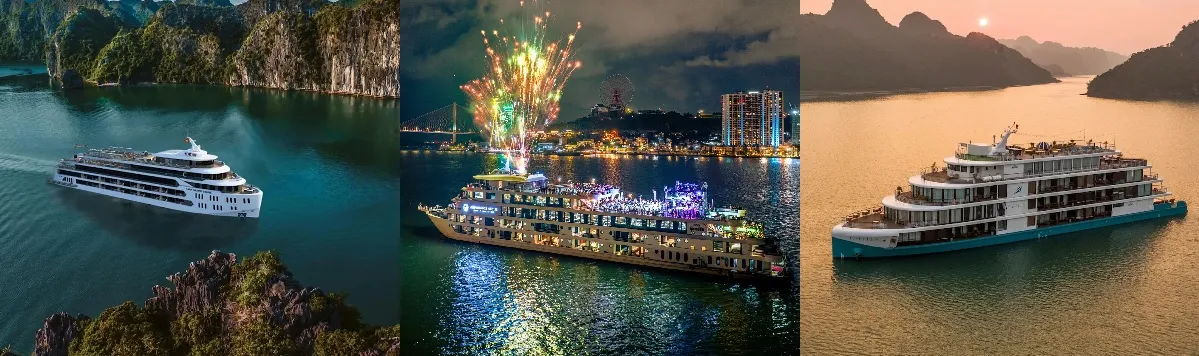 Hiện tại dịch vụ du thuyền tại Hạ Long được chia thành 3 loại chính là du thuyền tham quan trong ngày, du thuyền nhà hàng ăn tối và du thuyền nghỉ đêm