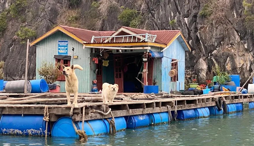 Khu vực Làng Chài Vung Viêng