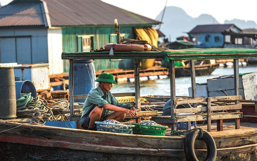 Du khách có thể mua hải sản tươi hoặc tham gia đánh bắt tại khu vực làng chài Ba Hang