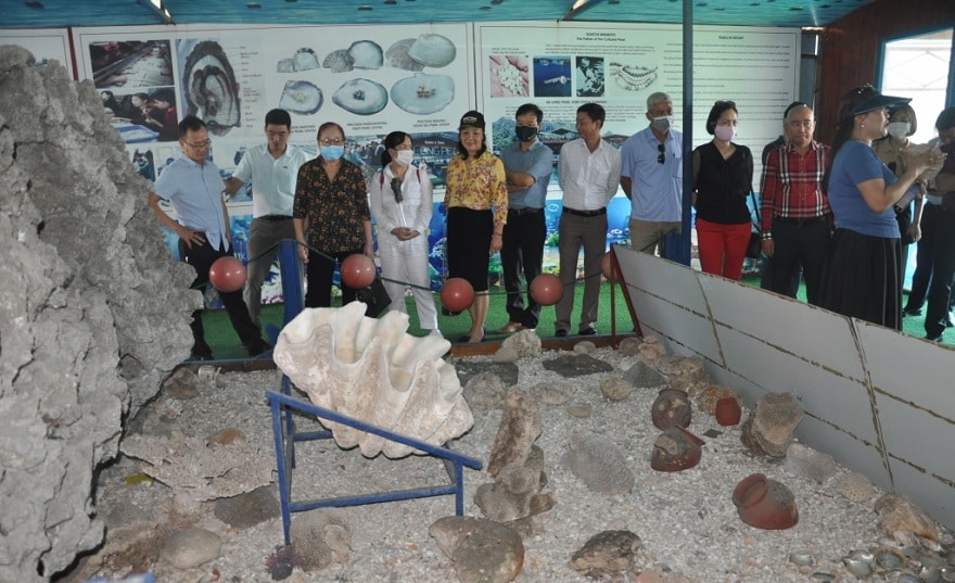 Du khách tham quan khu bảo tàng ngọc trai