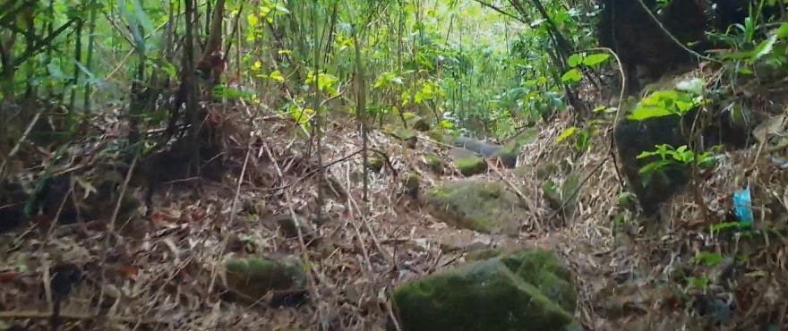 Đường đồi dẫn vào thác