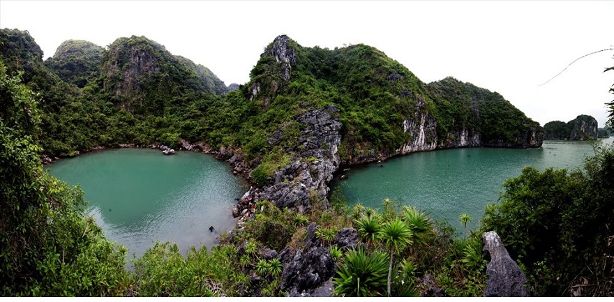 Hệ sinh thái Tùng Áng