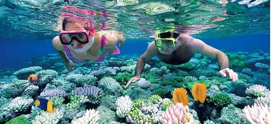 Hệ thống San Hô tại Thanh Lân