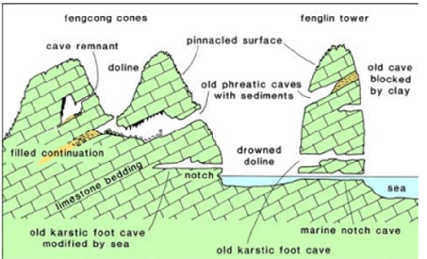 Hình 2. Sơ đồ thể hiện các loại hang động chính ở vùng núi đá vôi Vịnh Hạ Long.