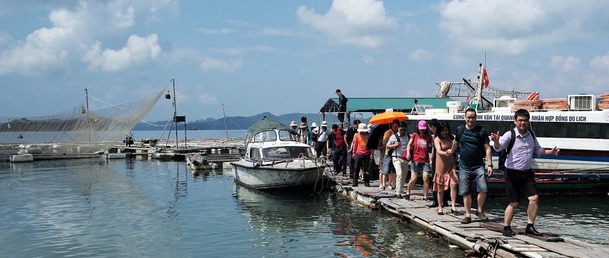 Khu vực cảng tàu đảo Bánh Sữa