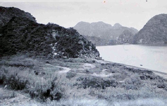 Hình 1: Khu vực di chỉ khảo cổ Cái Bèo