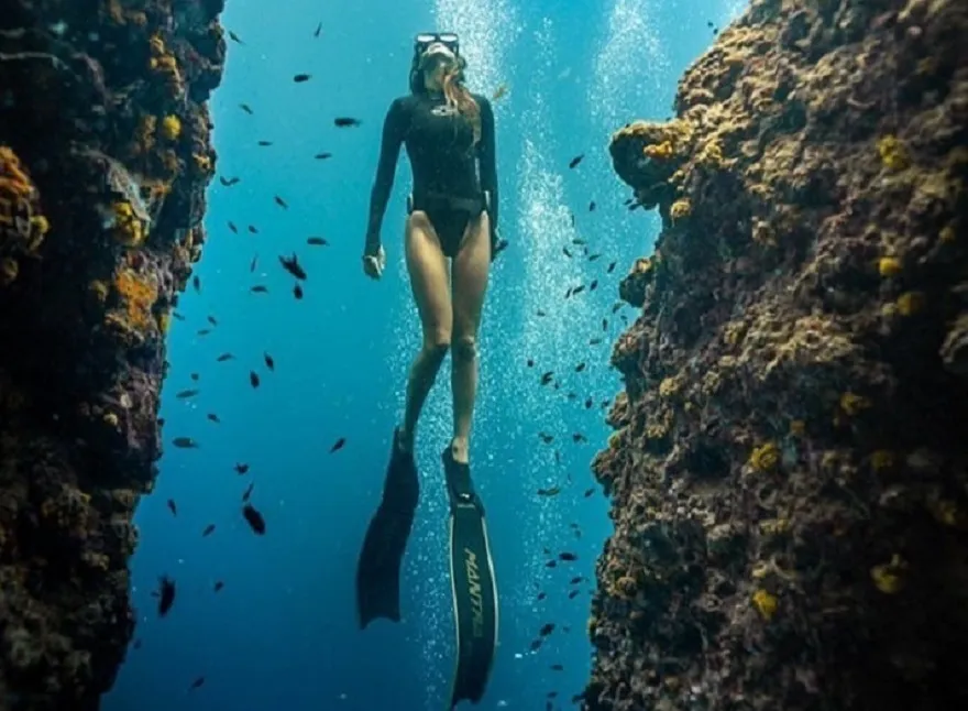 Lặn biển ngắm San Hô