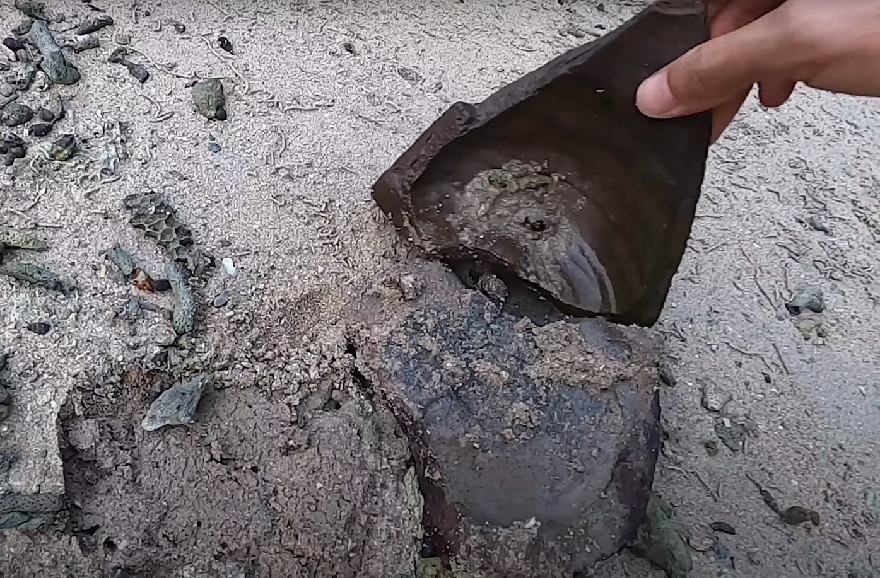 Mảnh gốm nằm rải rác trong hồ