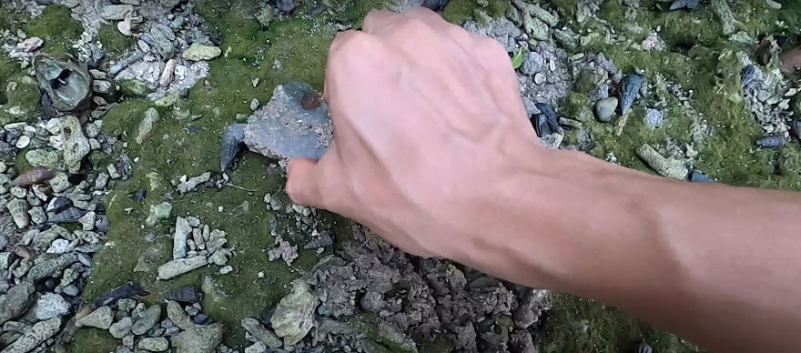 Mảnh gốm nằm rải rác trong hồ