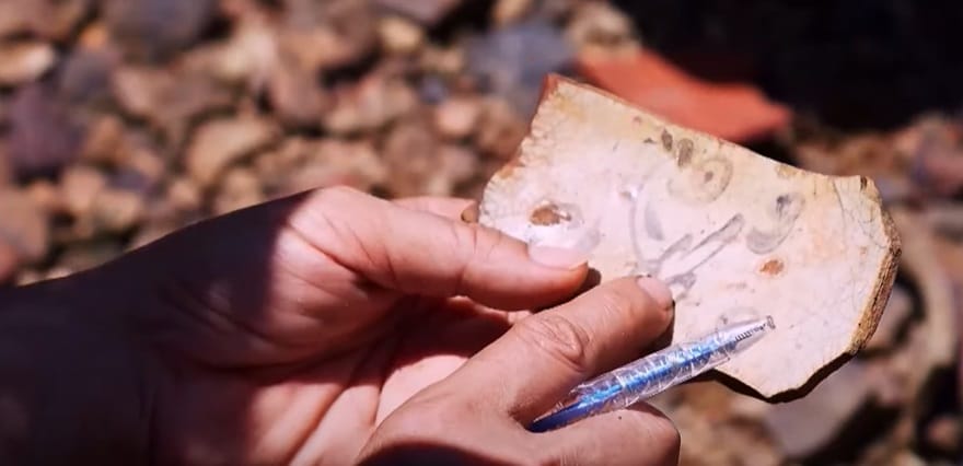 Mảnh gốm, sứ Việt Nam tại đảo Cống Tây