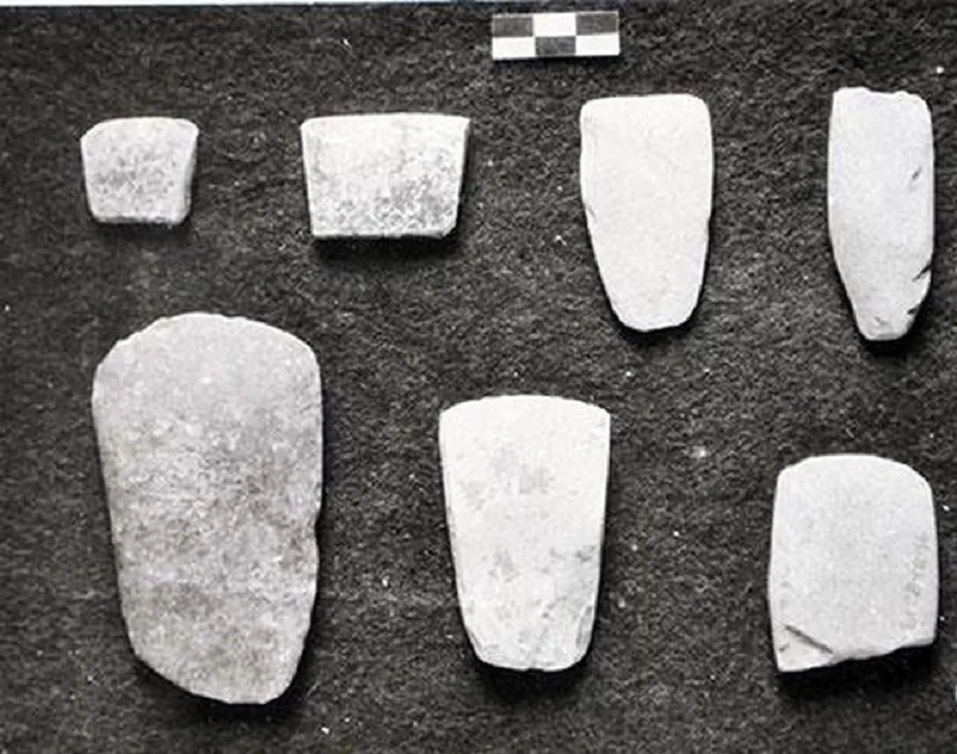 Những công cụ lao động bằng đá được tìm tháy tại Cái Bèo