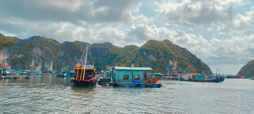 Những ngôi nhà gỗ nhỏ nhưng đầy màu sắc tại Cái Bèo