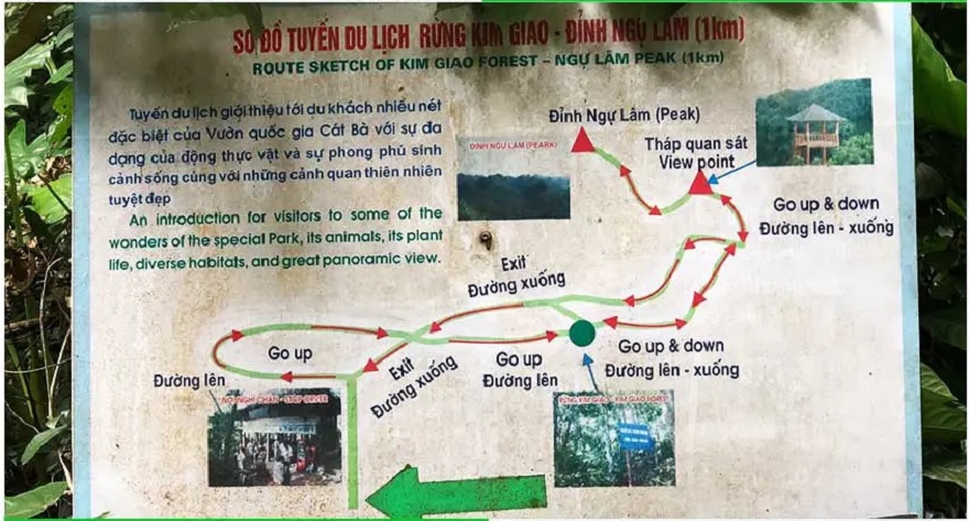 Sơ đồ du lịch rừng Kim Giao - Đỉnh Ngự Lâm