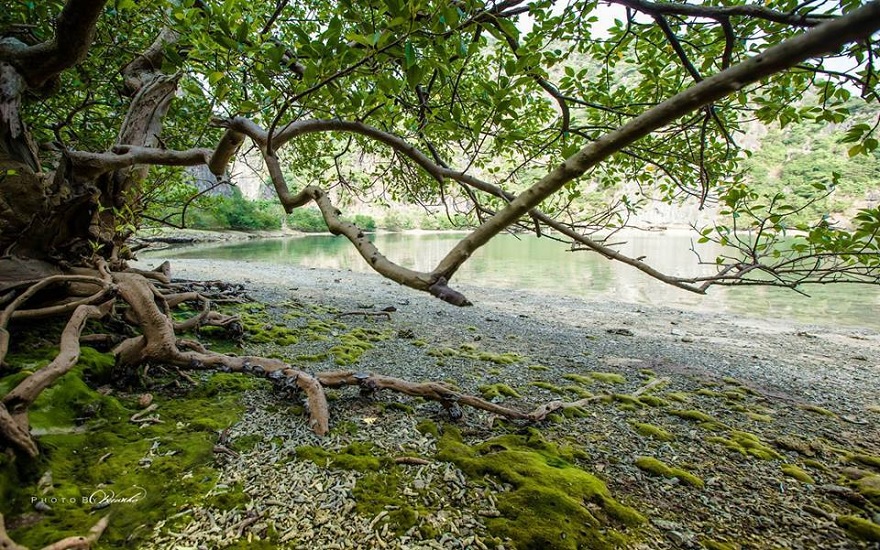 Tham thực vật phong phú, đồi núi, hang động phù hợp cho việc trekking